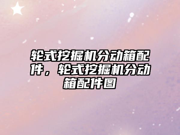 輪式挖掘機分動箱配件，輪式挖掘機分動箱配件圖