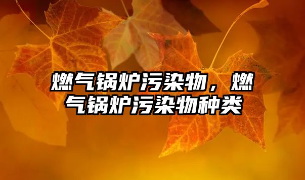 燃?xì)忮仩t污染物，燃?xì)忮仩t污染物種類