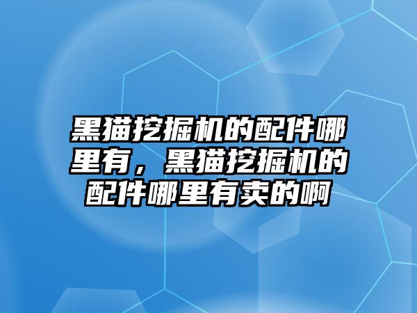 黑貓挖掘機(jī)的配件哪里有，黑貓挖掘機(jī)的配件哪里有賣的啊