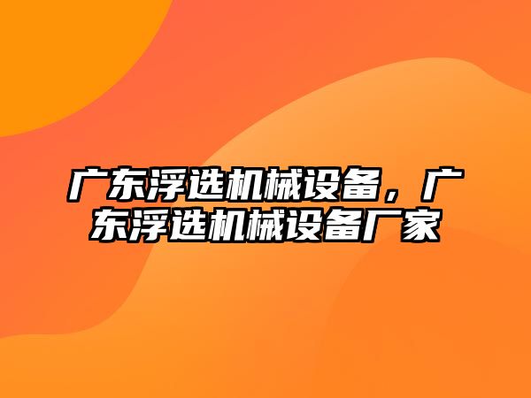 廣東浮選機械設備，廣東浮選機械設備廠家