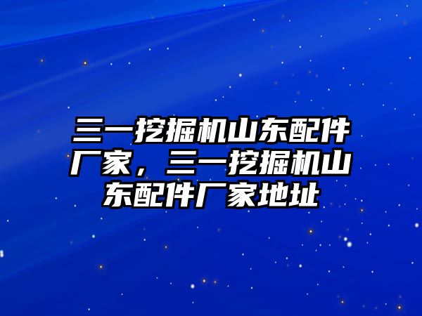 三一挖掘機(jī)山東配件廠家，三一挖掘機(jī)山東配件廠家地址