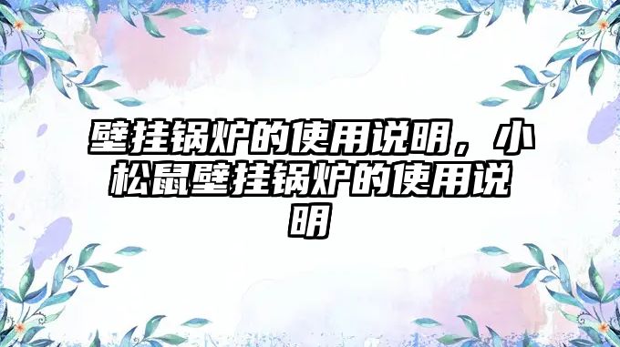 壁掛鍋爐的使用說明，小松鼠壁掛鍋爐的使用說明