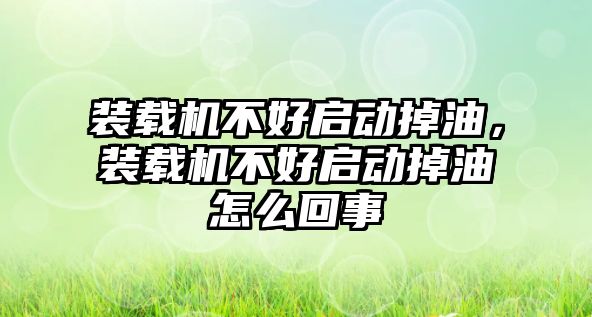 裝載機不好啟動掉油，裝載機不好啟動掉油怎么回事