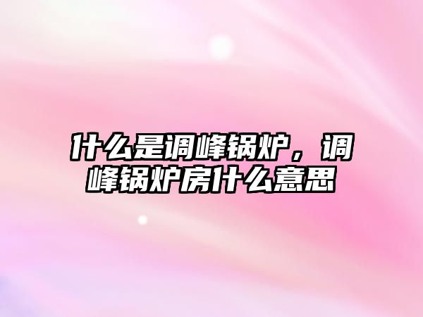 什么是調峰鍋爐，調峰鍋爐房什么意思