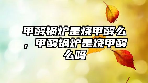 甲醇鍋爐是燒甲醇么，甲醇鍋爐是燒甲醇么嗎