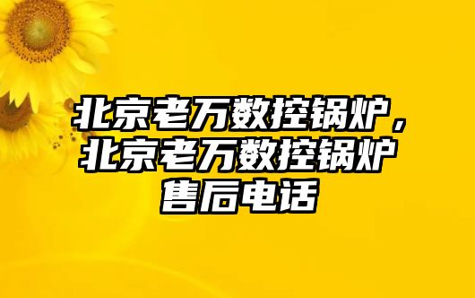 北京老萬數控鍋爐，北京老萬數控鍋爐售后電話