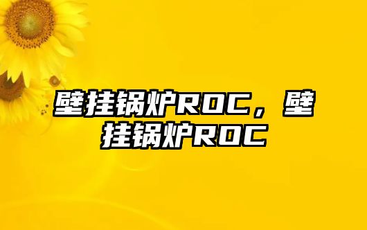 壁掛鍋爐ROC，壁掛鍋爐ROC