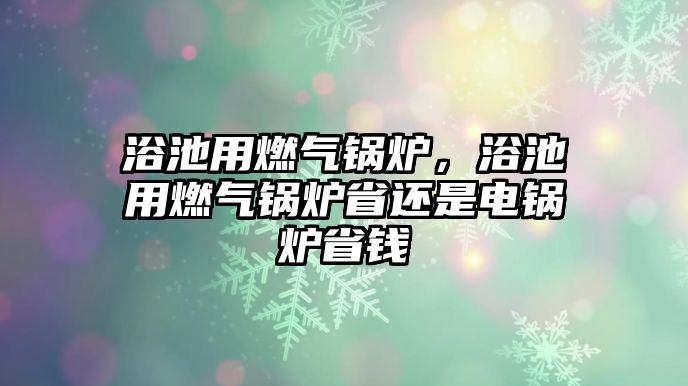 浴池用燃氣鍋爐，浴池用燃氣鍋爐省還是電鍋爐省錢