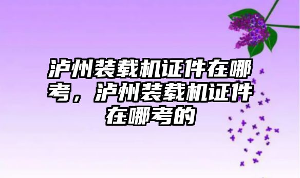 瀘州裝載機證件在哪考，瀘州裝載機證件在哪考的