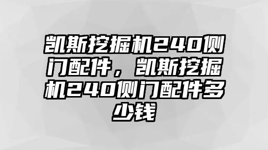 凱斯挖掘機(jī)240側(cè)門(mén)配件，凱斯挖掘機(jī)240側(cè)門(mén)配件多少錢(qián)