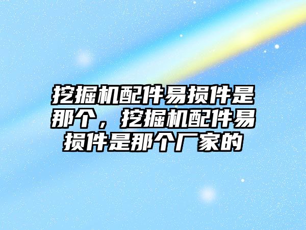 挖掘機配件易損件是那個，挖掘機配件易損件是那個廠家的