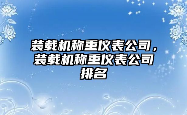 裝載機稱重儀表公司，裝載機稱重儀表公司排名