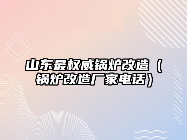 山東最權威鍋爐改造（鍋爐改造廠家電話）