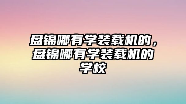 盤錦哪有學裝載機的，盤錦哪有學裝載機的學校