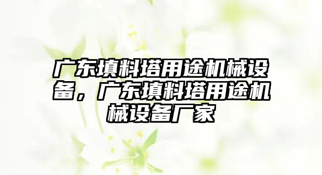 廣東填料塔用途機(jī)械設(shè)備，廣東填料塔用途機(jī)械設(shè)備廠家