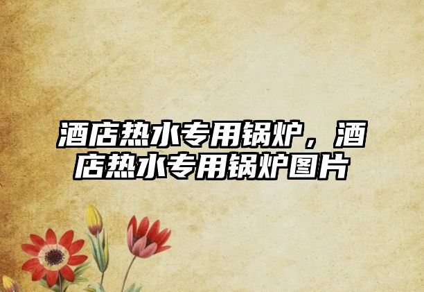 酒店熱水專(zhuān)用鍋爐，酒店熱水專(zhuān)用鍋爐圖片