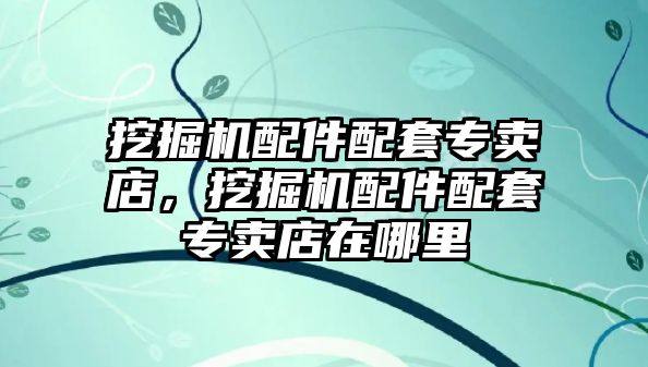 挖掘機配件配套專賣店，挖掘機配件配套專賣店在哪里