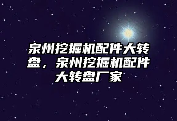 泉州挖掘機配件大轉盤，泉州挖掘機配件大轉盤廠家