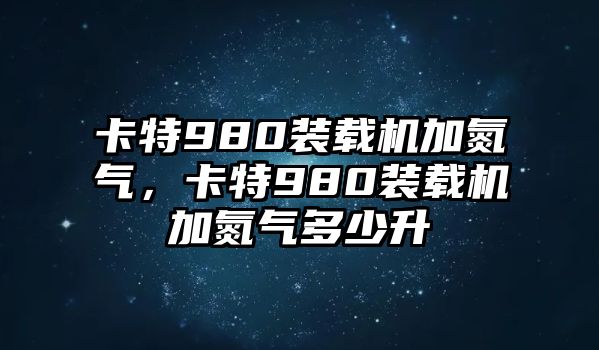 卡特980裝載機加氮氣，卡特980裝載機加氮氣多少升