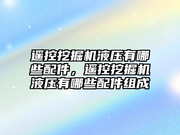 遙控挖掘機液壓有哪些配件，遙控挖掘機液壓有哪些配件組成