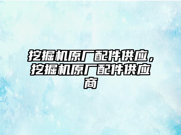 挖掘機原廠配件供應，挖掘機原廠配件供應商