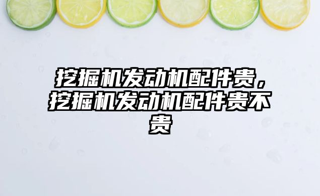 挖掘機發(fā)動機配件貴，挖掘機發(fā)動機配件貴不貴