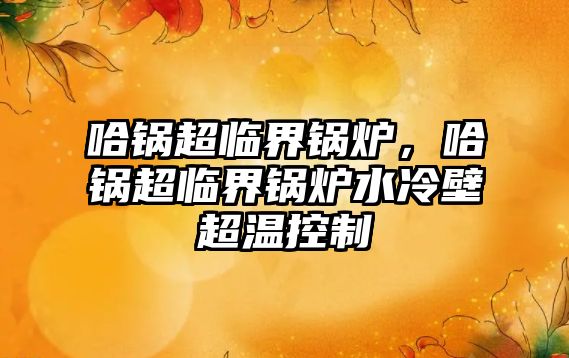 哈鍋超臨界鍋爐，哈鍋超臨界鍋爐水冷壁超溫控制