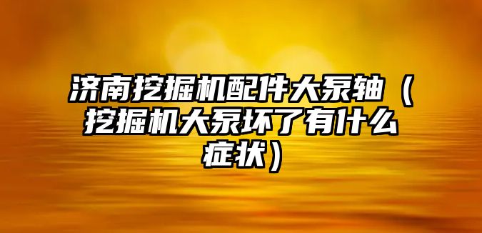 濟南挖掘機配件大泵軸（挖掘機大泵壞了有什么癥狀）