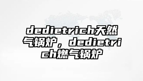 dedietrich天然氣鍋爐，dedietrich燃?xì)忮仩t