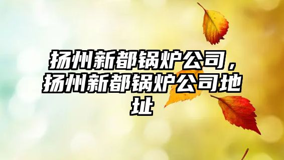 揚州新都鍋爐公司，揚州新都鍋爐公司地址