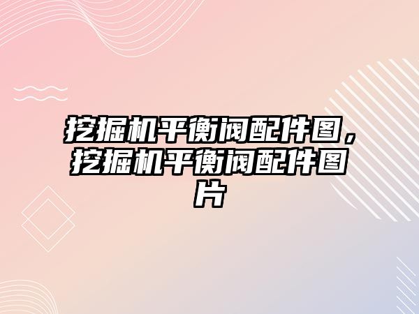 挖掘機平衡閥配件圖，挖掘機平衡閥配件圖片