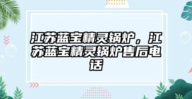 江蘇藍寶精靈鍋爐，江蘇藍寶精靈鍋爐售后電話