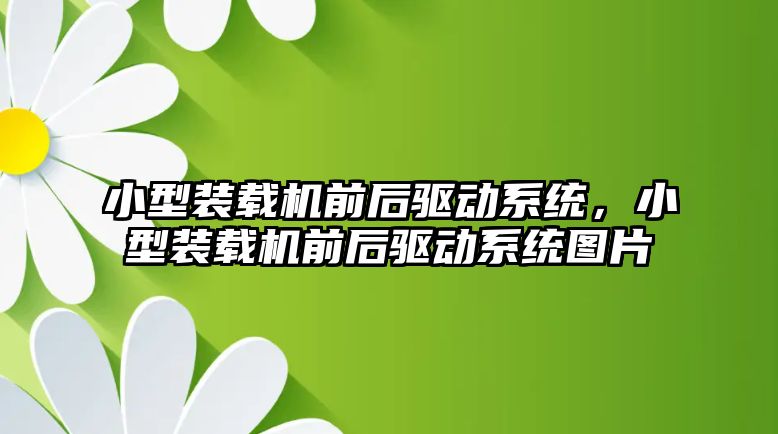 小型裝載機前后驅動系統，小型裝載機前后驅動系統圖片