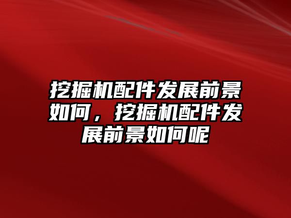 挖掘機配件發(fā)展前景如何，挖掘機配件發(fā)展前景如何呢