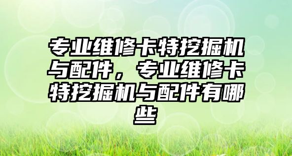 專業維修卡特挖掘機與配件，專業維修卡特挖掘機與配件有哪些