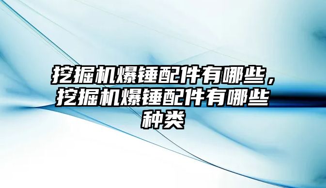 挖掘機爆錘配件有哪些，挖掘機爆錘配件有哪些種類