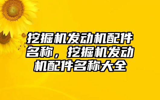 挖掘機發(fā)動機配件名稱，挖掘機發(fā)動機配件名稱大全