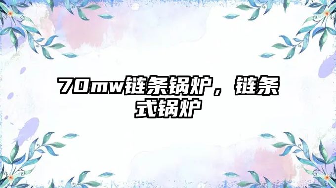 70mw鏈條鍋爐，鏈條式鍋爐