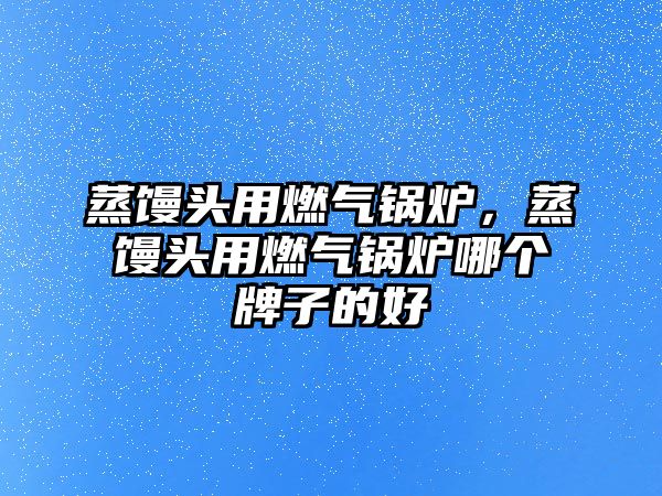 蒸饅頭用燃氣鍋爐，蒸饅頭用燃氣鍋爐哪個牌子的好