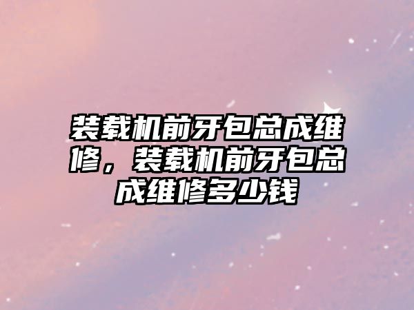 裝載機前牙包總成維修，裝載機前牙包總成維修多少錢