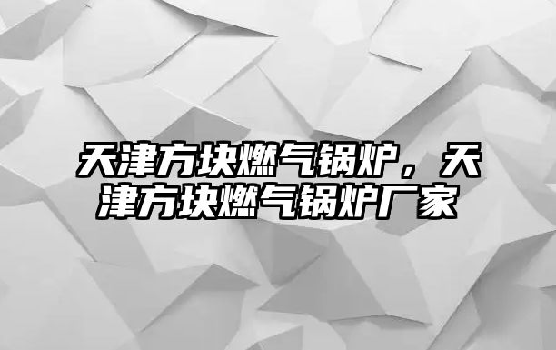 天津方塊燃氣鍋爐，天津方塊燃氣鍋爐廠家