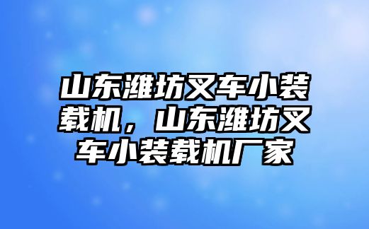 山東濰坊叉車小裝載機(jī)，山東濰坊叉車小裝載機(jī)廠家