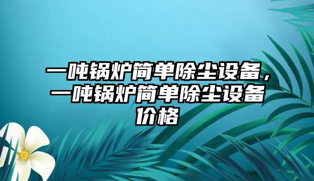 一噸鍋爐簡(jiǎn)單除塵設(shè)備，一噸鍋爐簡(jiǎn)單除塵設(shè)備價(jià)格