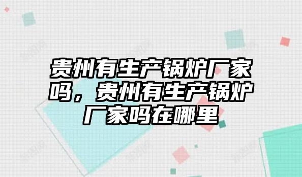 貴州有生產鍋爐廠家嗎，貴州有生產鍋爐廠家嗎在哪里