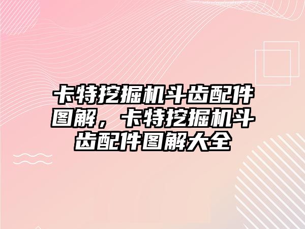 卡特挖掘機斗齒配件圖解，卡特挖掘機斗齒配件圖解大全