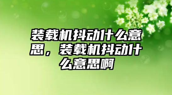 裝載機抖動什么意思，裝載機抖動什么意思啊