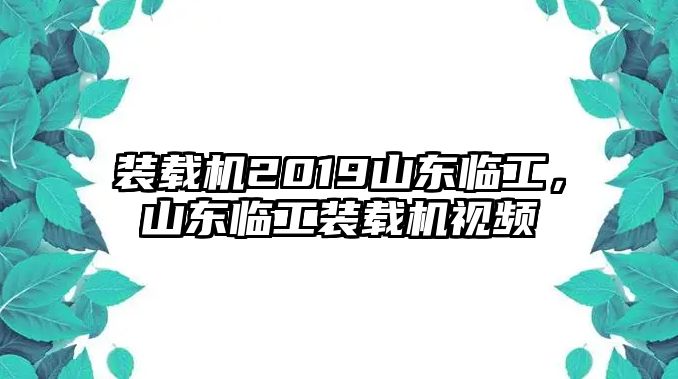 裝載機2019山東臨工，山東臨工裝載機視頻