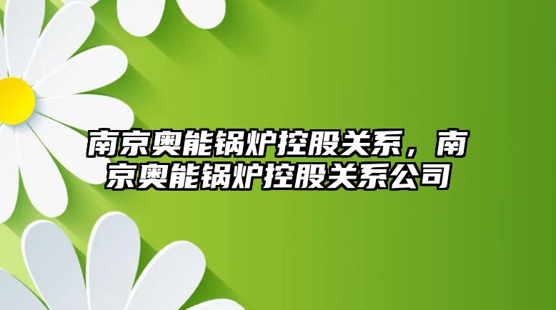 南京奧能鍋爐控股關系，南京奧能鍋爐控股關系公司