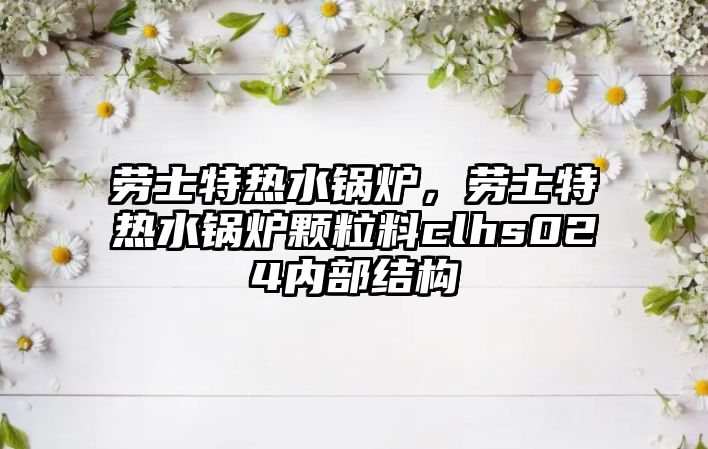 勞士特熱水鍋爐，勞士特熱水鍋爐顆粒料clhs024內(nèi)部結(jié)構(gòu)