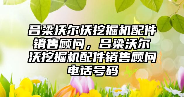 呂梁沃爾沃挖掘機配件銷售顧問，呂梁沃爾沃挖掘機配件銷售顧問電話號碼